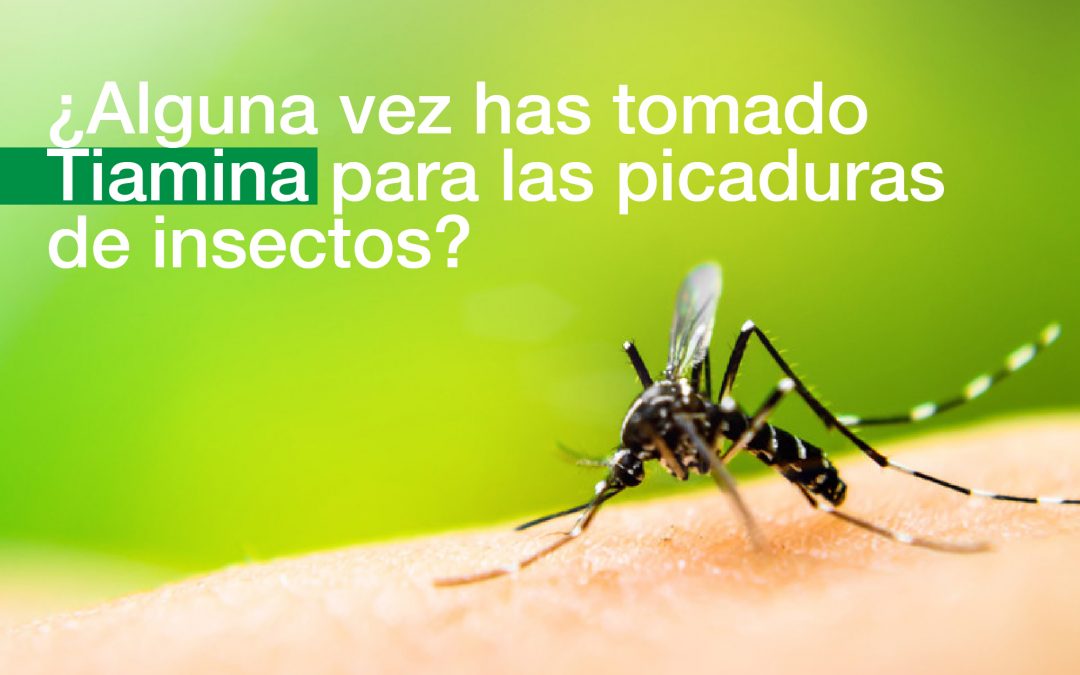 ¿Tiamina para picaduras de insectos?